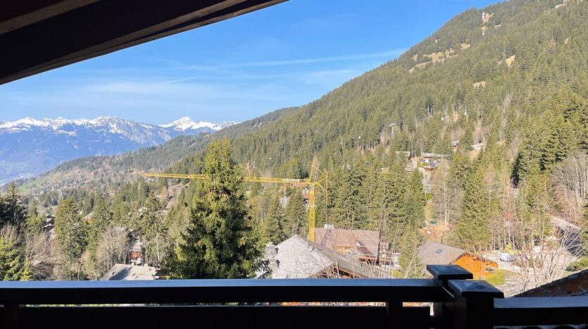 Chalet View Of Trees And Crane